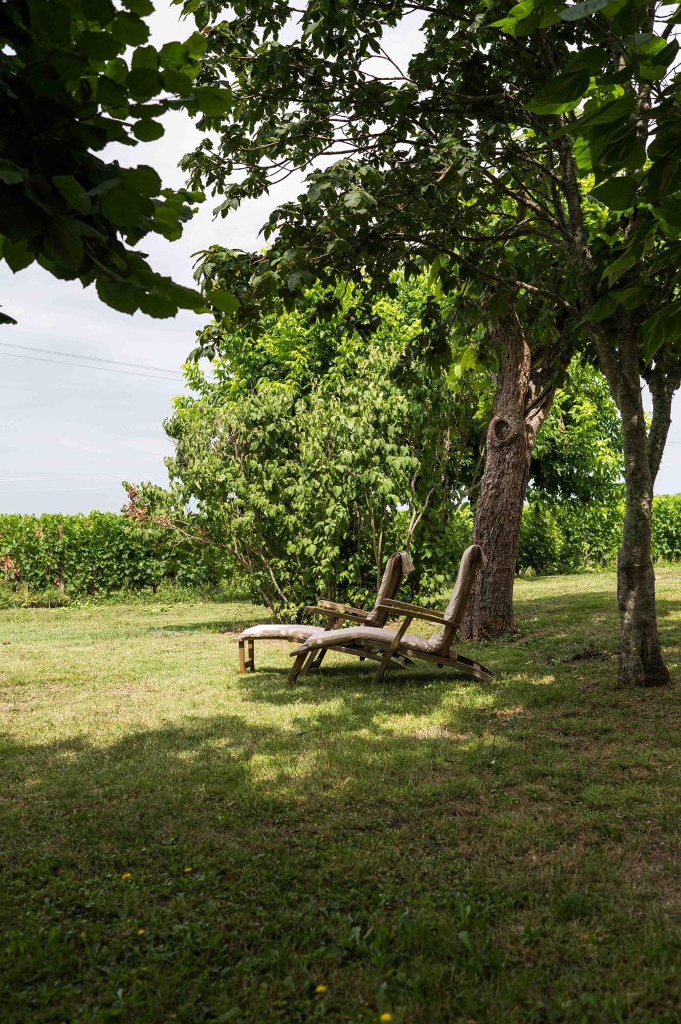 Clos De La Barbanne Montagne  Extérieur photo