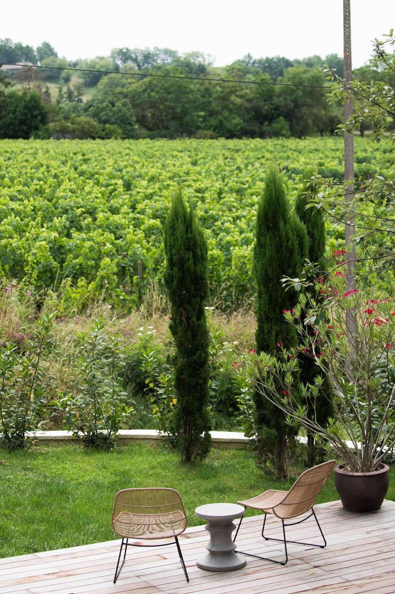 Clos De La Barbanne Montagne  Extérieur photo